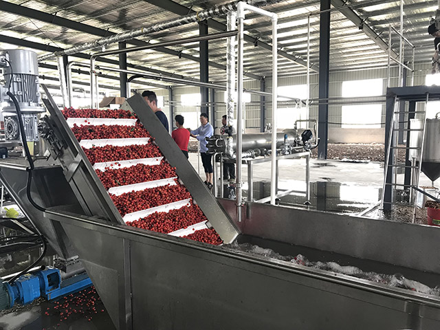 水果加工前原果怎樣儲藏？