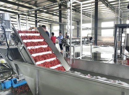 桑葚、藍莓、樹莓加工生產線