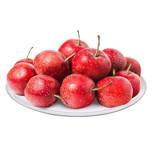 利臻機械山楂汁生產(chǎn)線